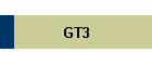 GT3